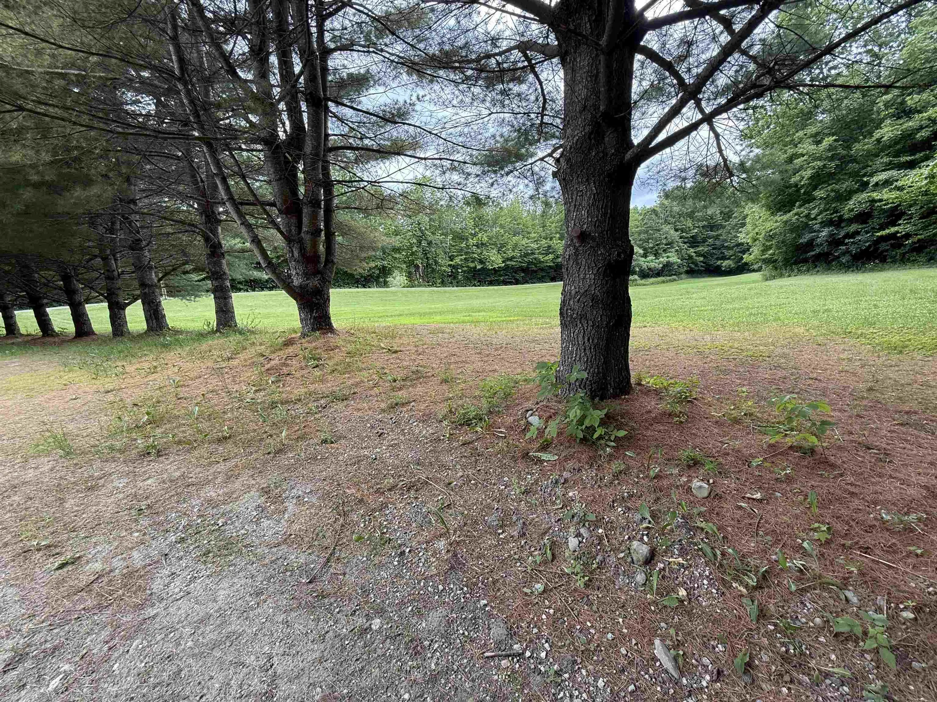 1226 Brainstorm Road Braintree VT 05060
