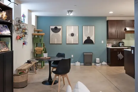 161 St Paul Street Burlington VT 05401