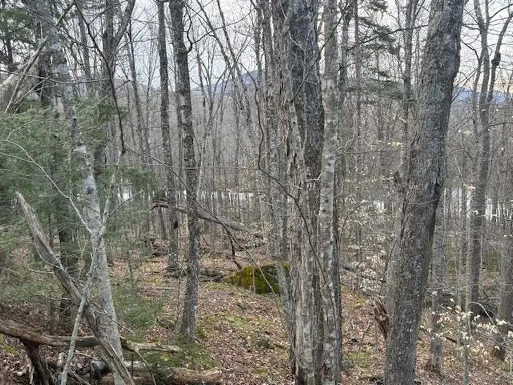 Lot 8 Barrows Towne Road Killington VT 05751