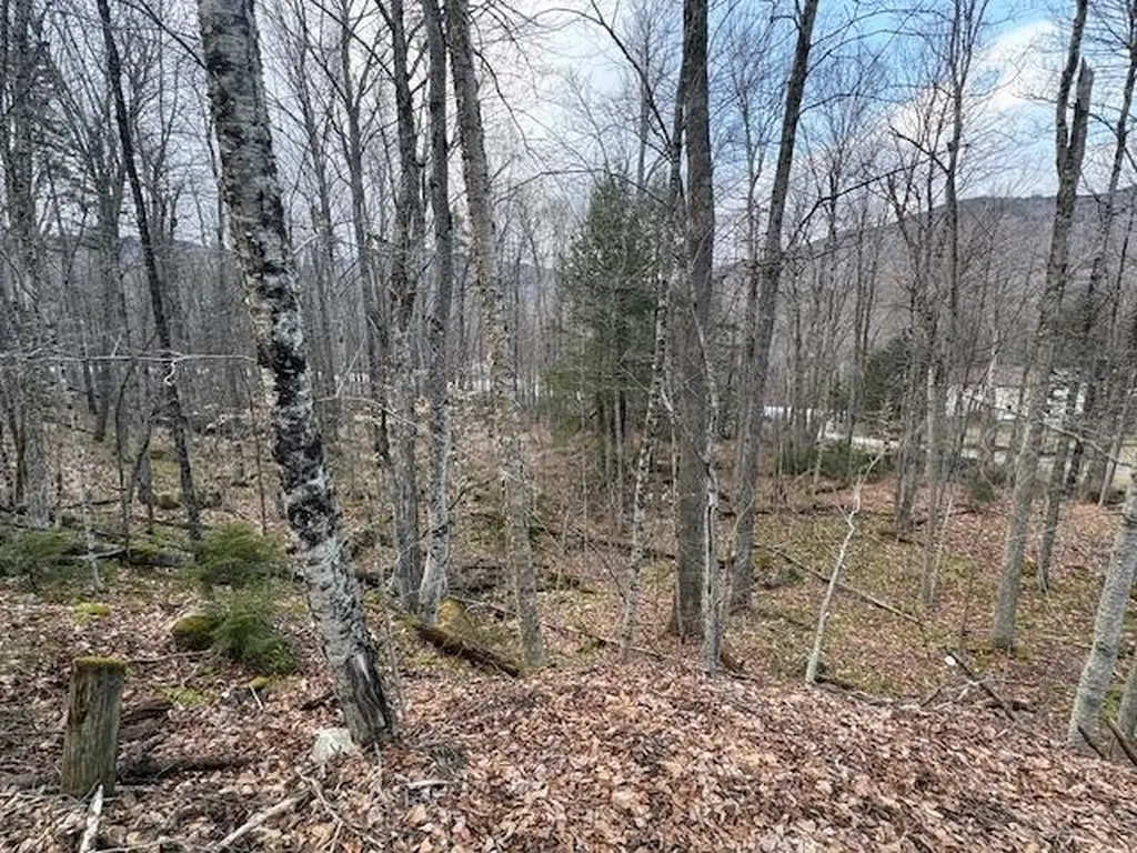 Lot 8 Barrows Towne Road Killington VT 05751