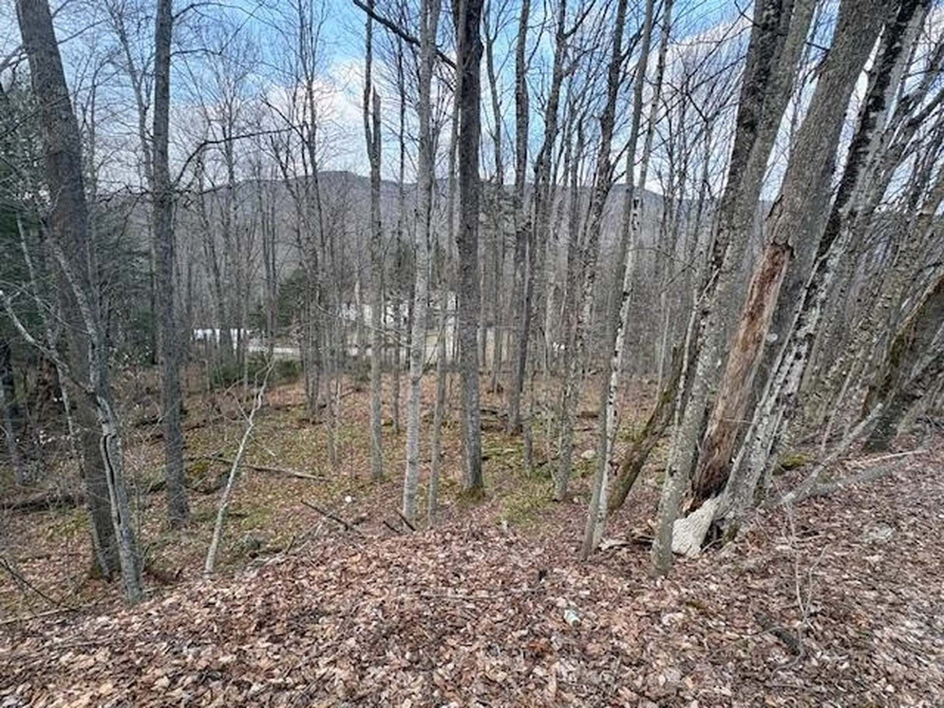 Lot 8 Barrows Towne Road Killington VT 05751