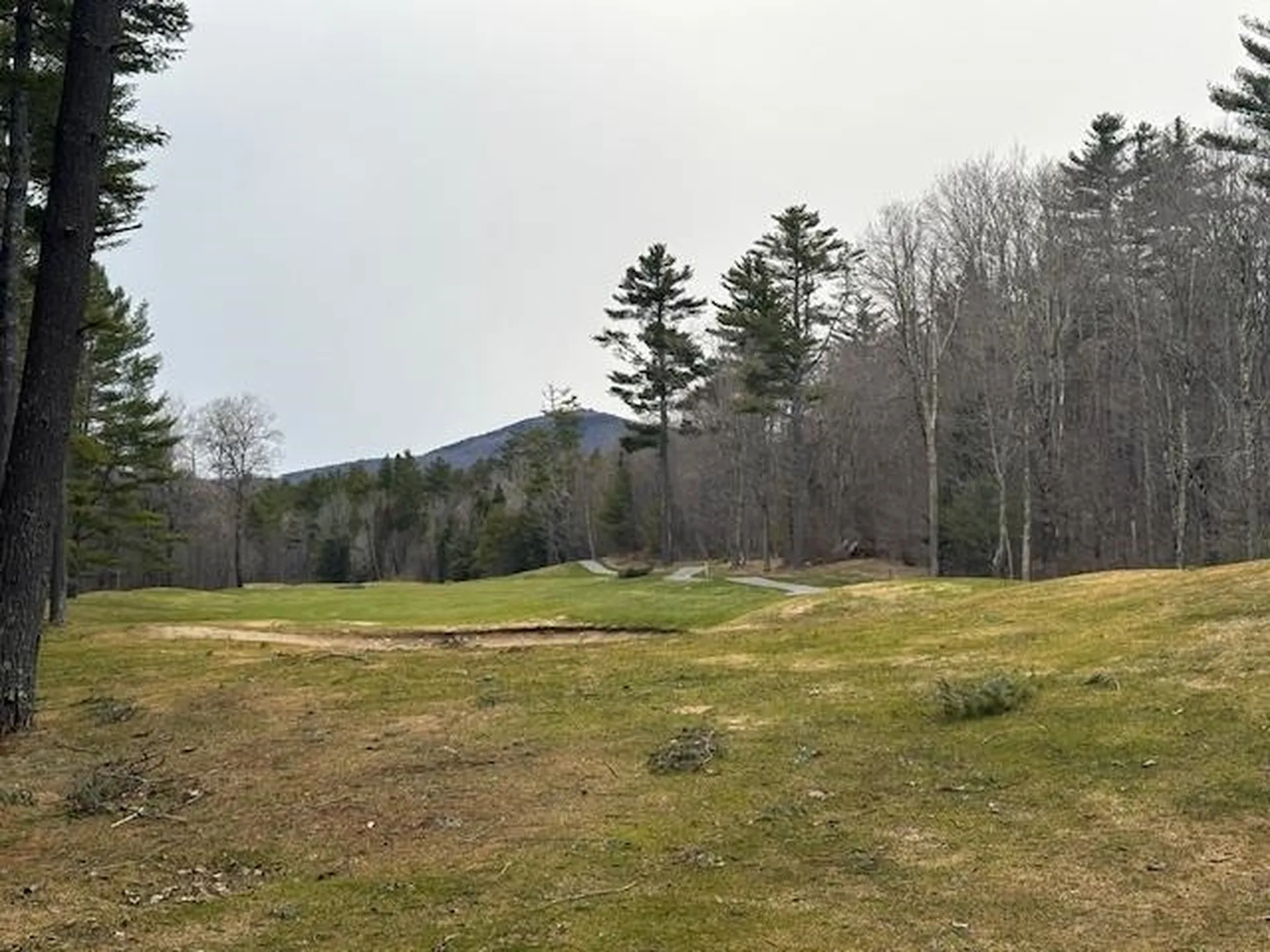 Lot 8 Barrows Towne Road Killington VT 05751