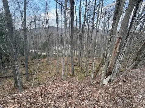 Lot 8 Barrows Towne Road Killington VT 05751