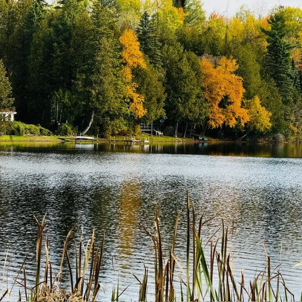 391 West Shore Road Glover VT 05875
