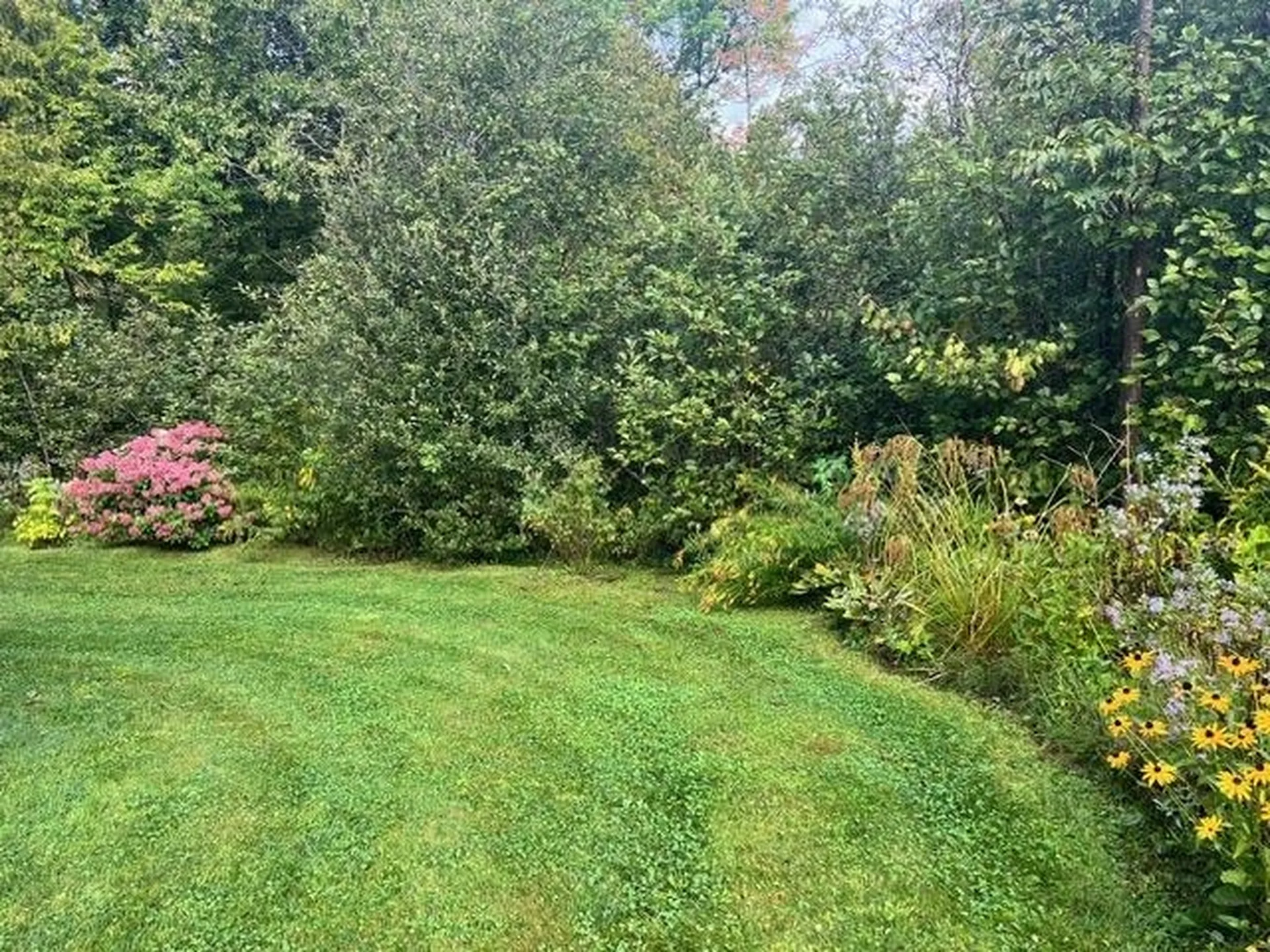 391 West Shore Road Glover VT 05875