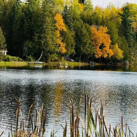 391 West Shore Road Glover VT 05875