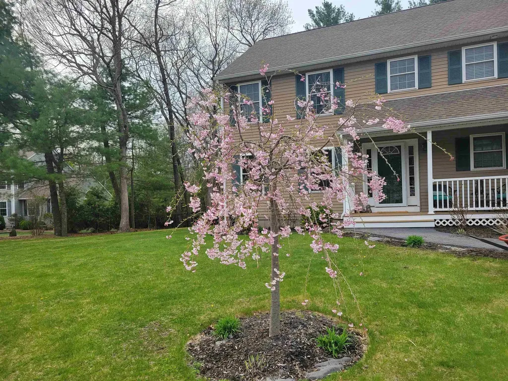 7 Leaor Circle Hudson NH 03051