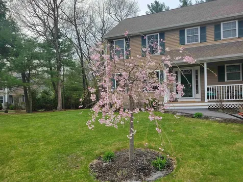 7 Leaor Circle Hudson NH 03051