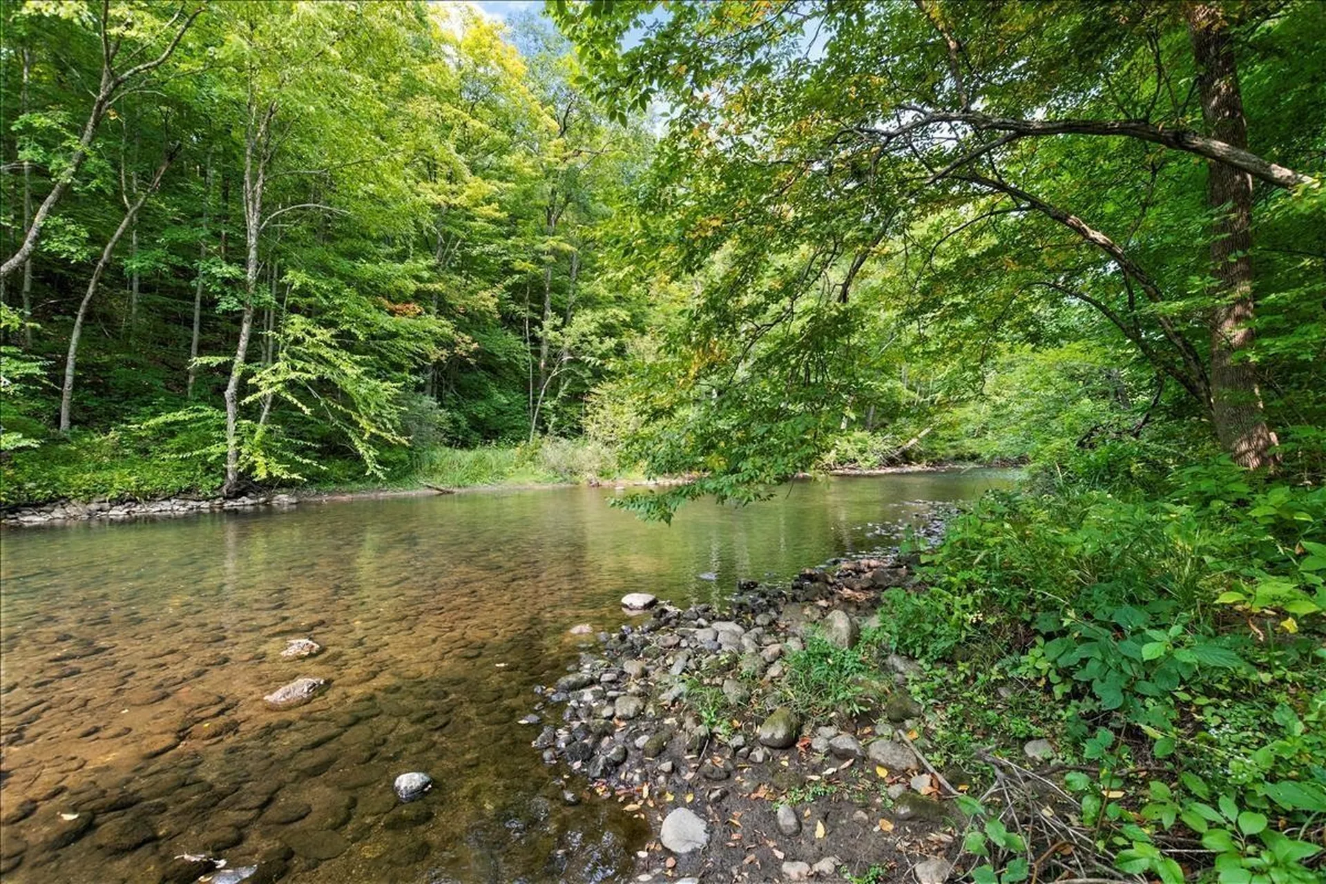 49 Limerick Lane Arlington VT 05250