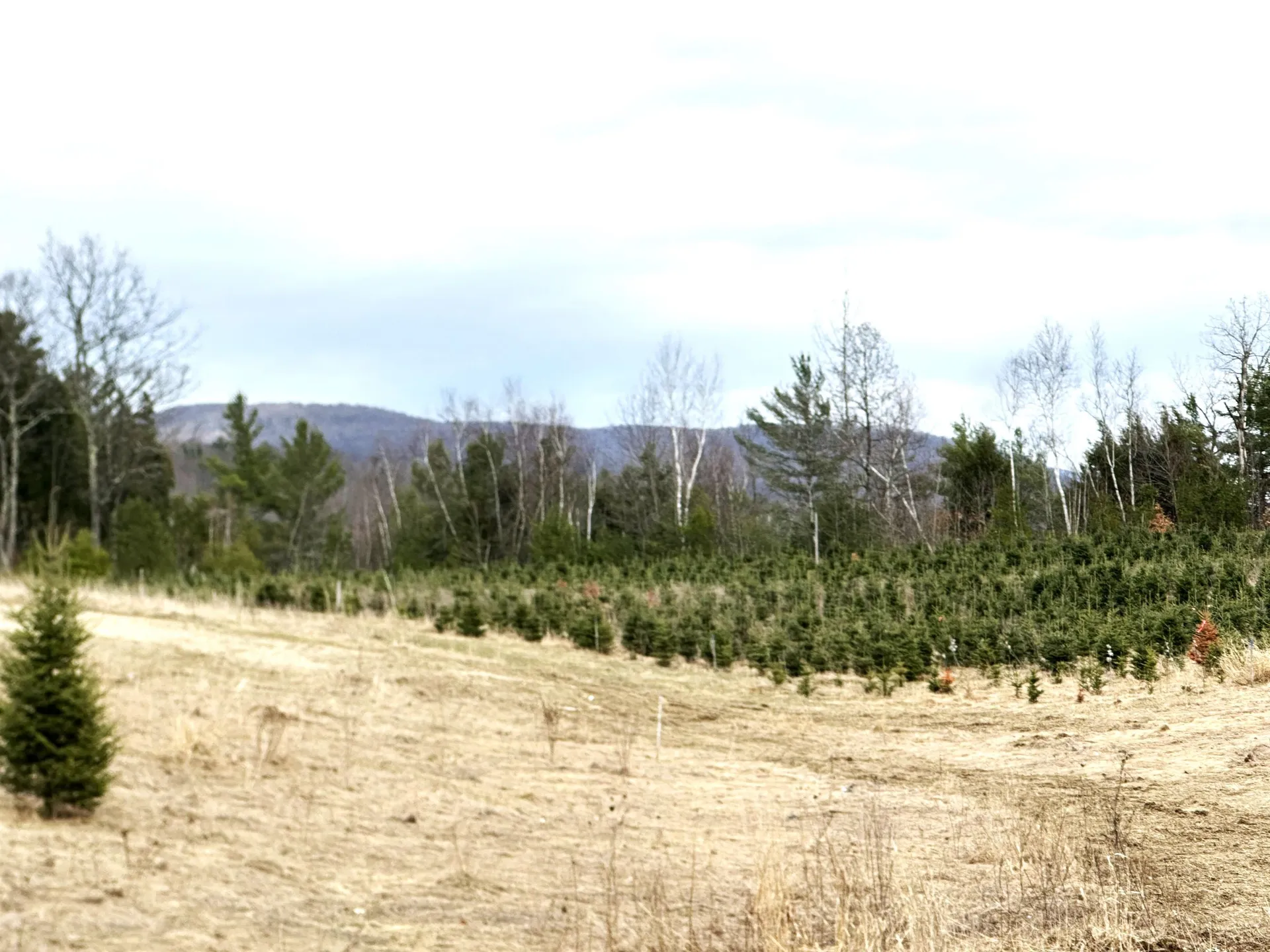 119 Shore Road Jericho VT 05465