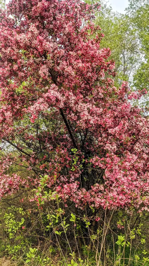 104 John Stark Highway Newport NH 03773