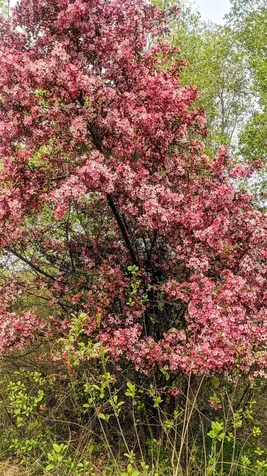 104 John Stark Highway Newport NH 03773