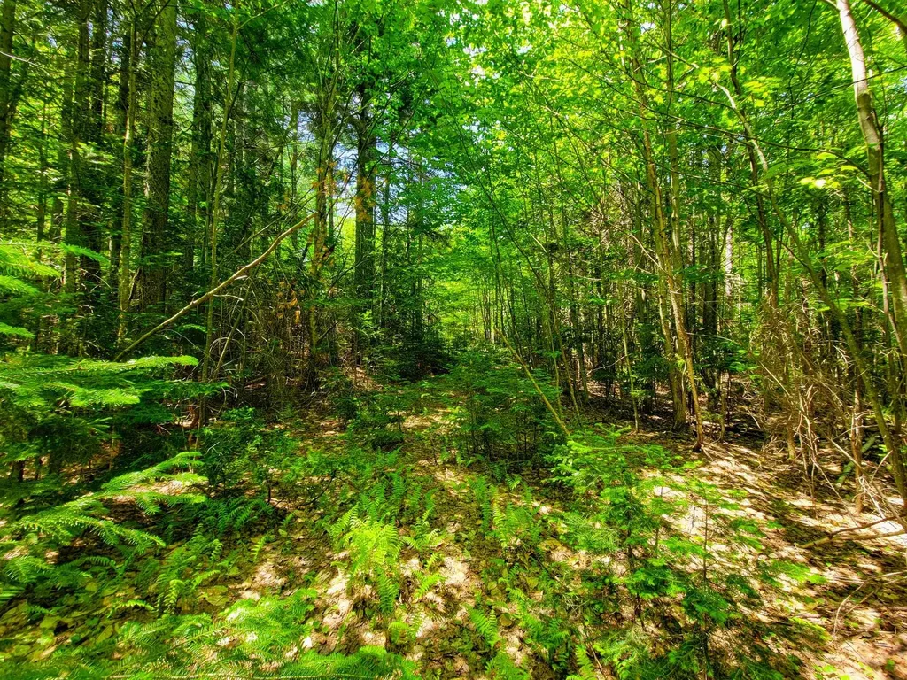 280 Gorham Hill Road Gorham NH 03581