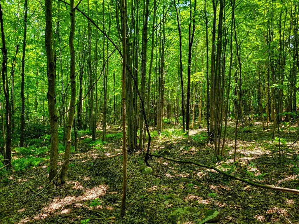 280 Gorham Hill Road Gorham NH 03581