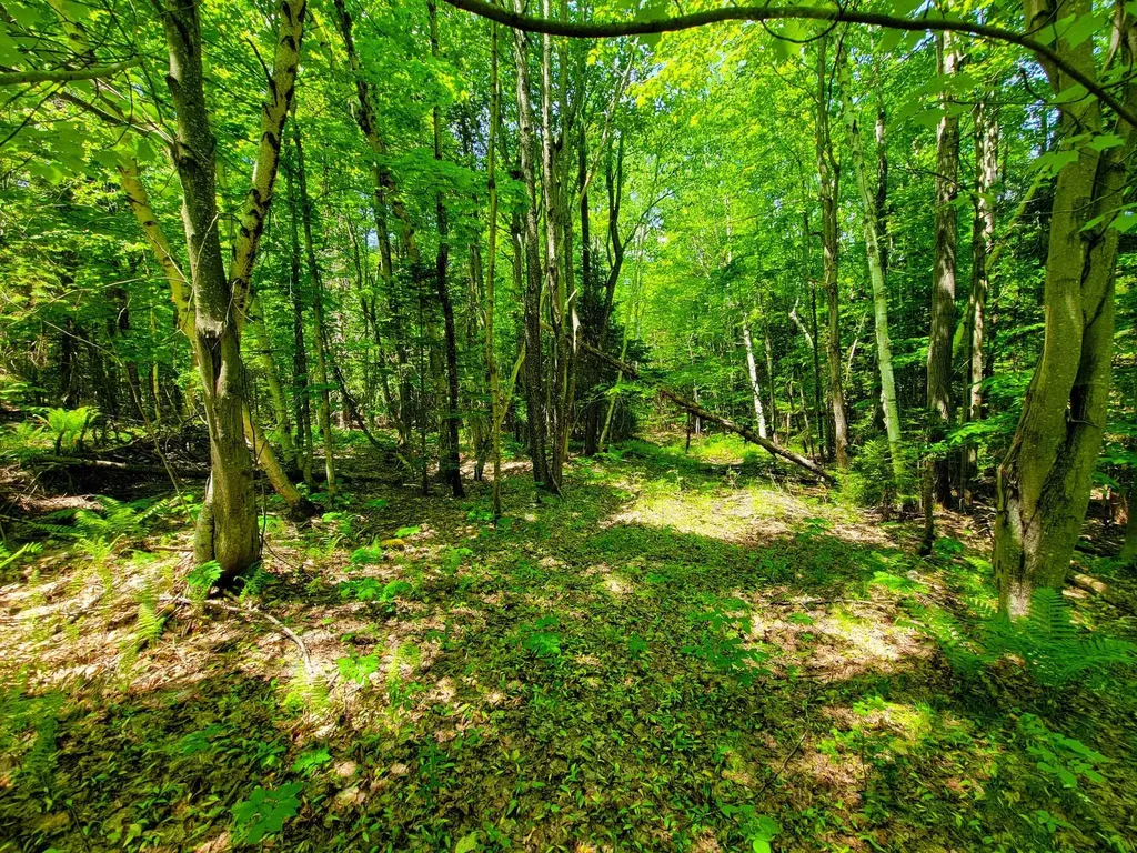 280 Gorham Hill Road Gorham NH 03581