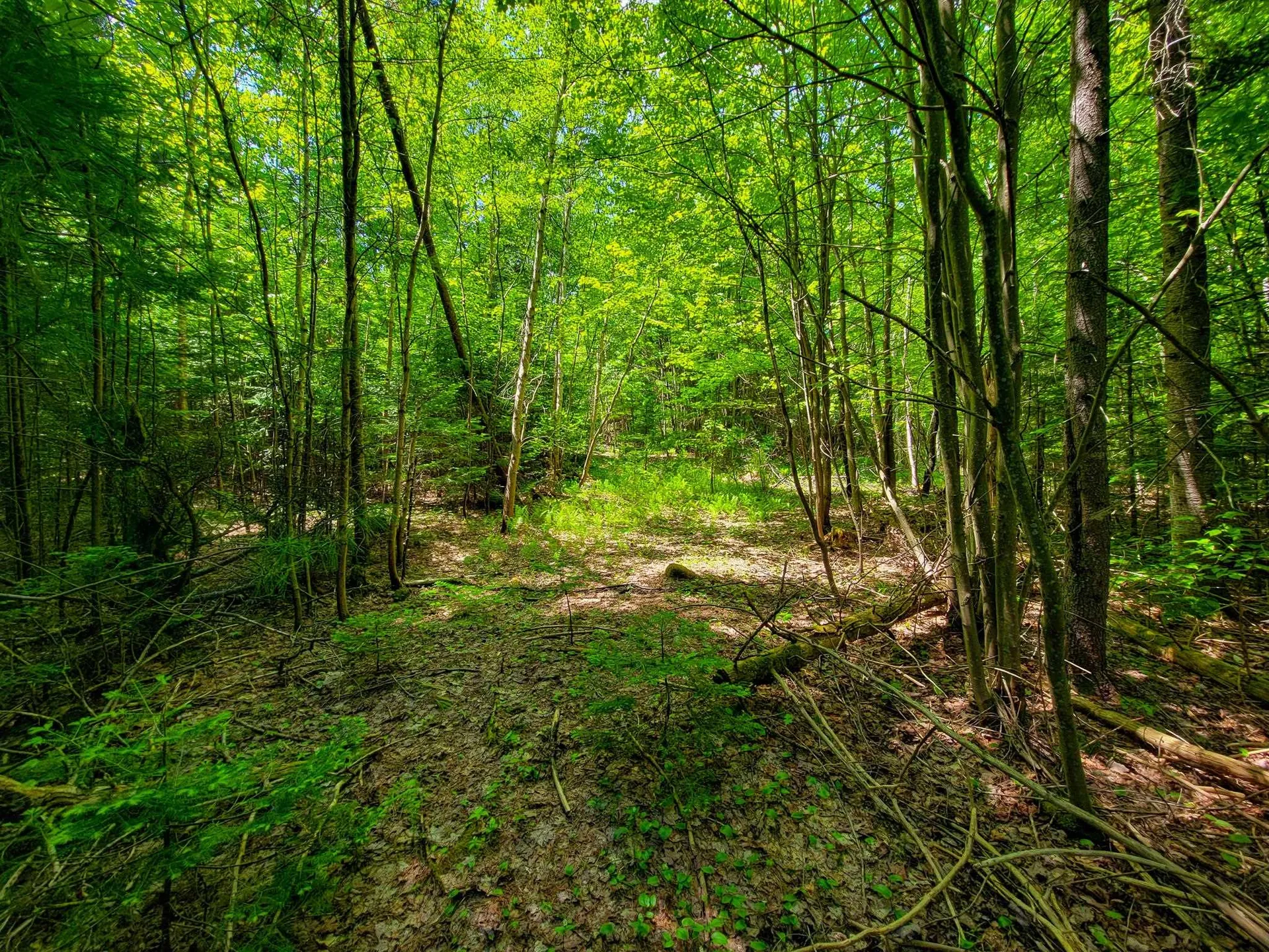 280 Gorham Hill Road Gorham NH 03581