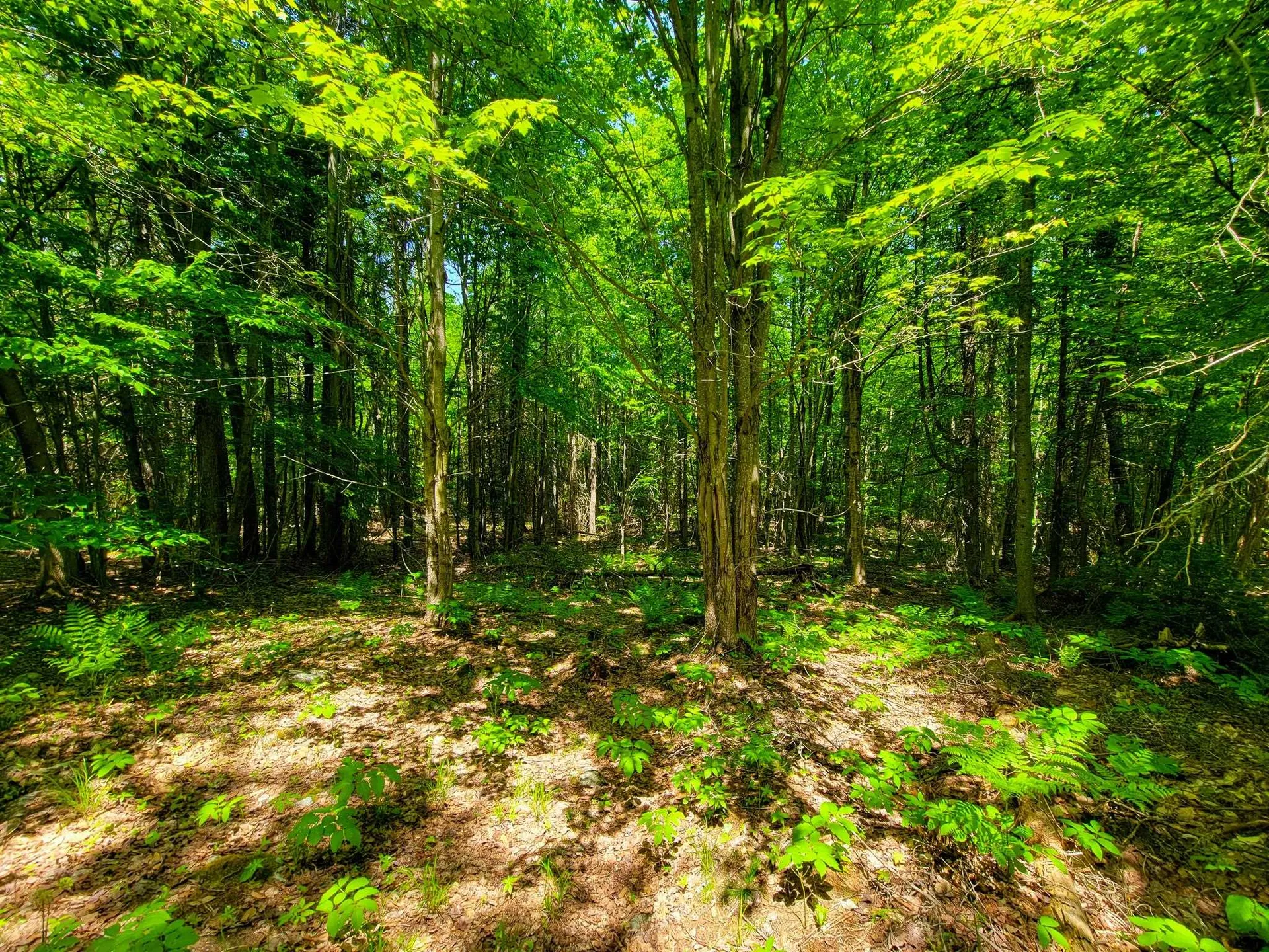 280 Gorham Hill Road Gorham NH 03581