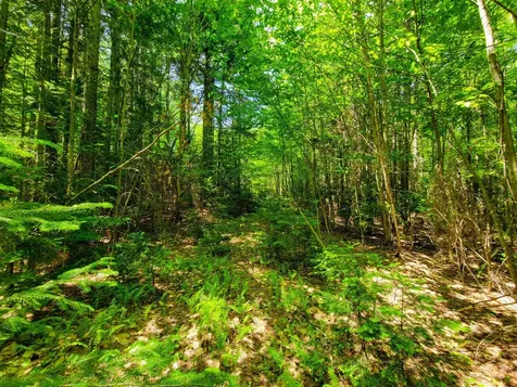 280 Gorham Hill Road Gorham NH 03581