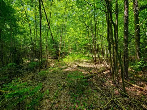 280 Gorham Hill Road Gorham NH 03581