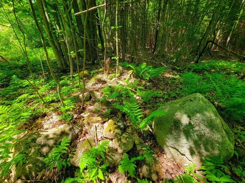 280 Gorham Hill Road Gorham NH 03581