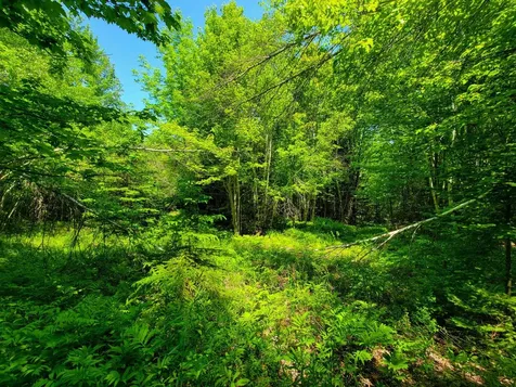 280 Gorham Hill Road Gorham NH 03581