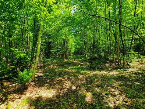 280 Gorham Hill Road Gorham NH 03581