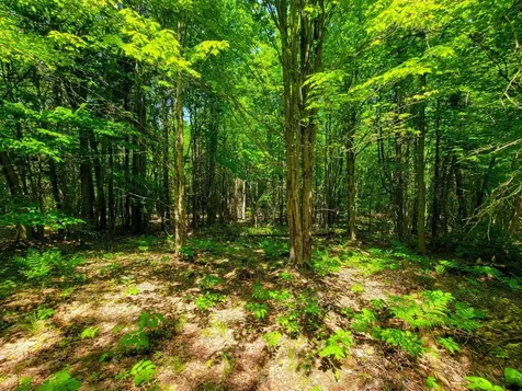 280 Gorham Hill Road Gorham NH 03581