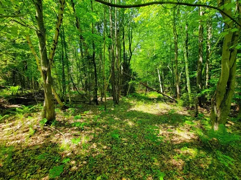 280 Gorham Hill Road Gorham NH 03581