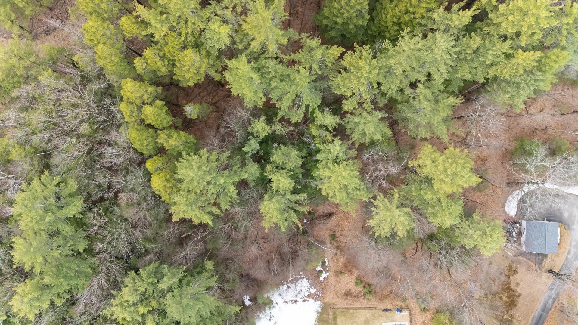 Lot 053 Holt Road Wilton NH 03086