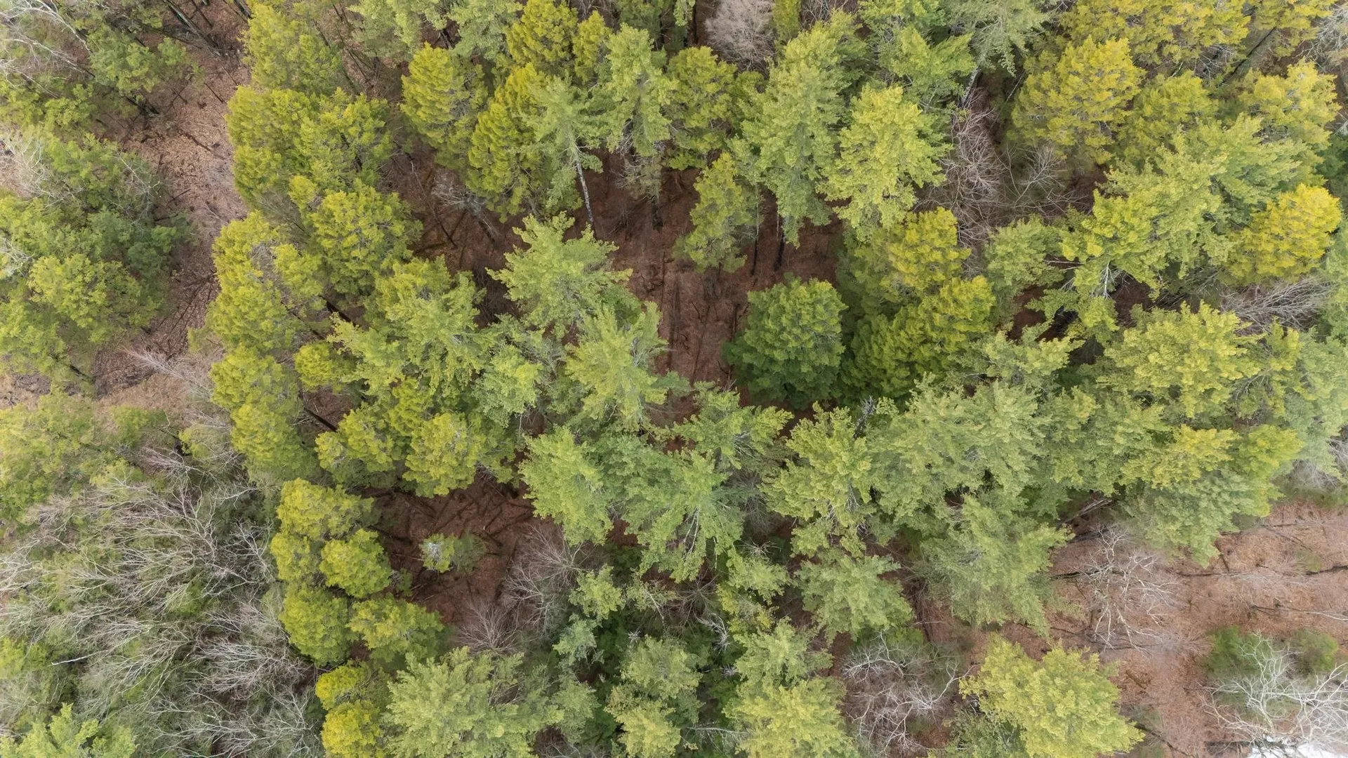 Lot 053 Holt Road Wilton NH 03086