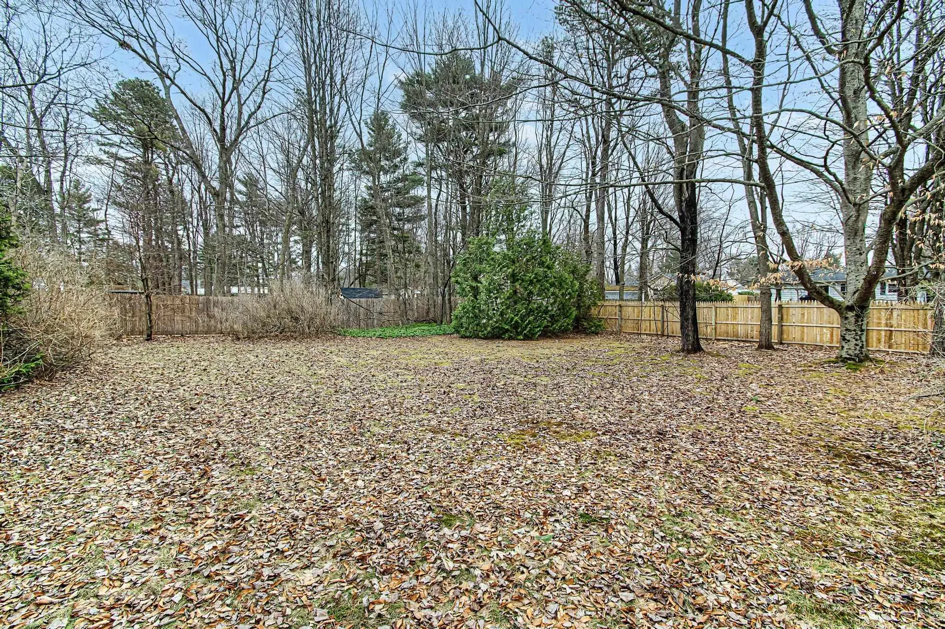 6 Clover Street South Burlington VT 05403