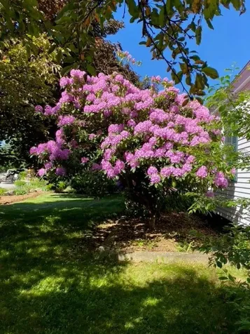 189 Leavitt Road Belmont NH 03220