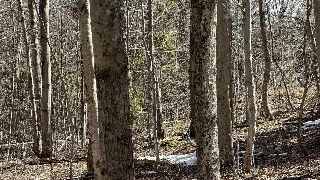 Valley Road Washington NH 03280