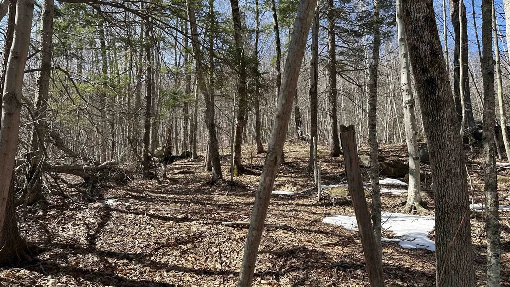 Valley Road Washington NH 03280