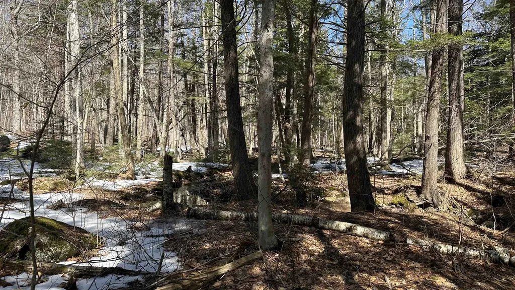 Valley Road Washington NH 03280