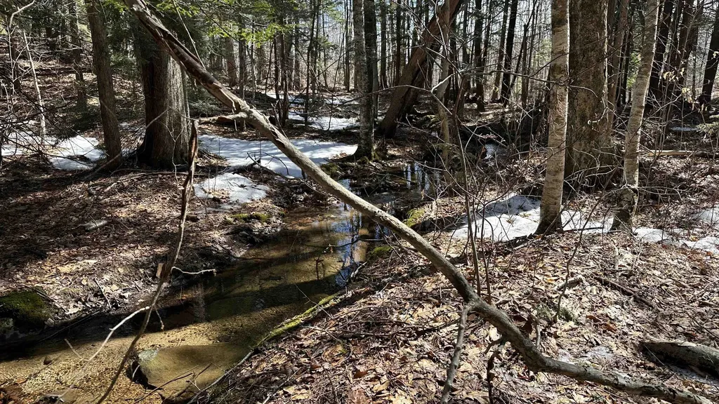 Valley Road Washington NH 03280