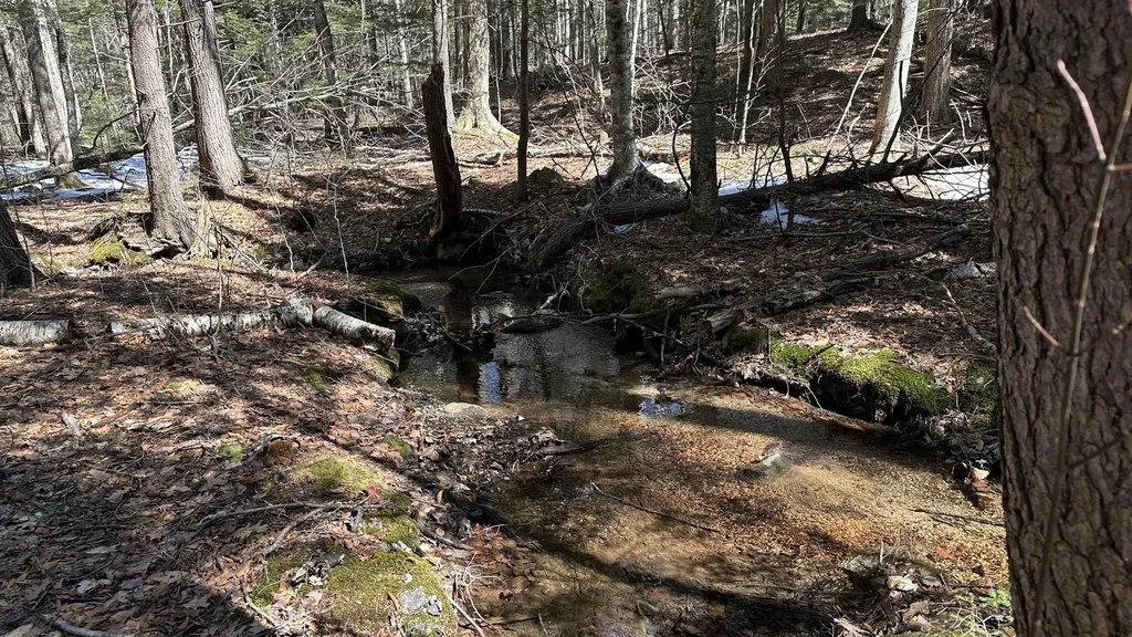 Valley Road Washington NH 03280