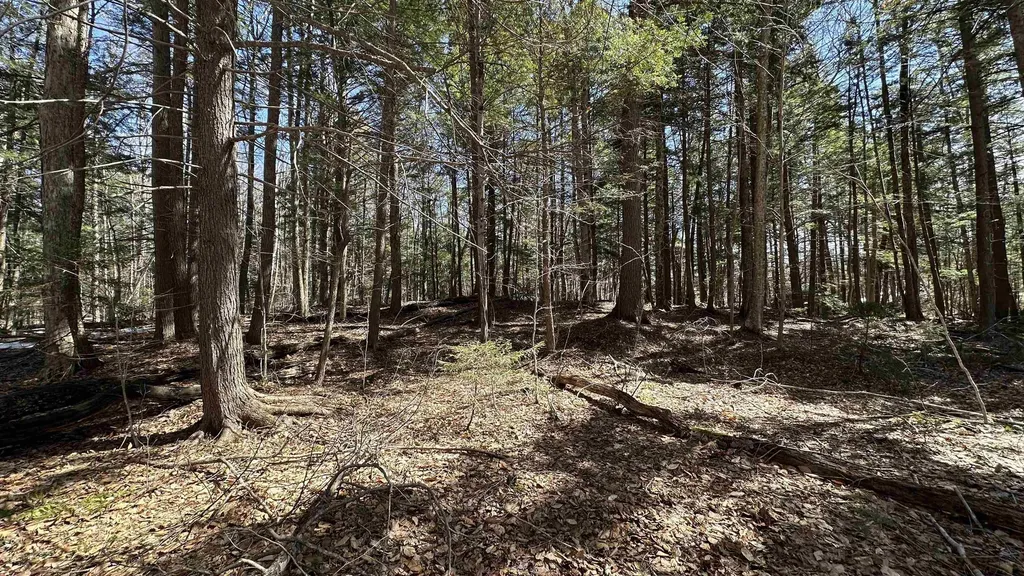 Valley Road Washington NH 03280