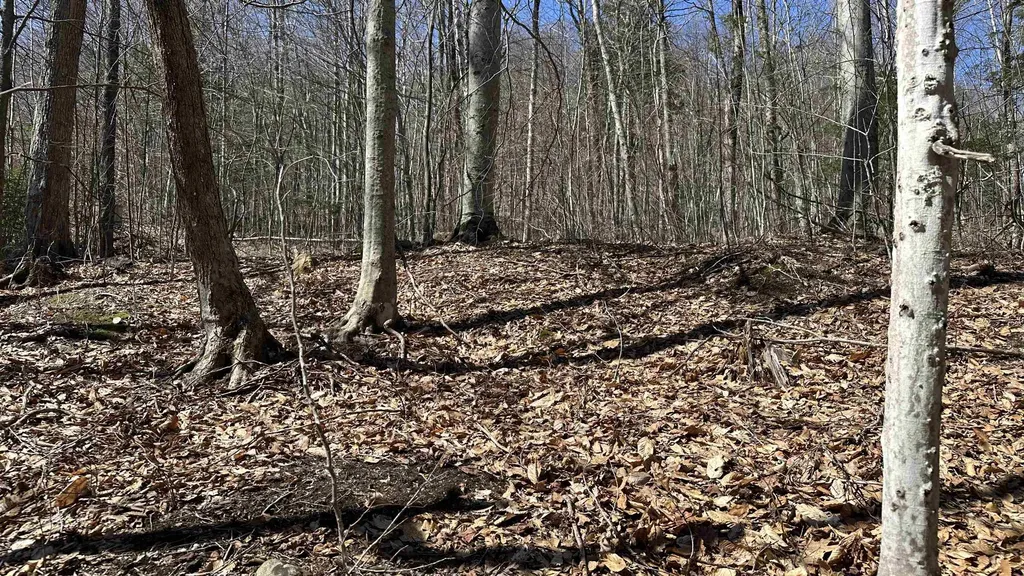 Valley Road Washington NH 03280