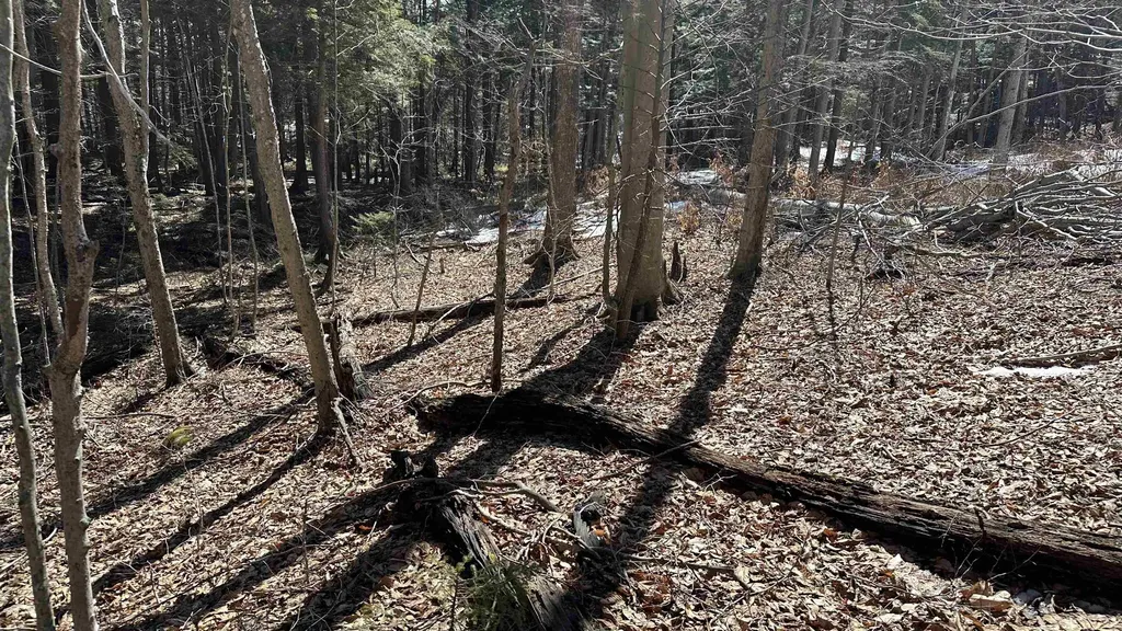 Valley Road Washington NH 03280