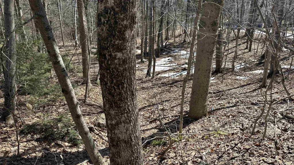 Valley Road Washington NH 03280