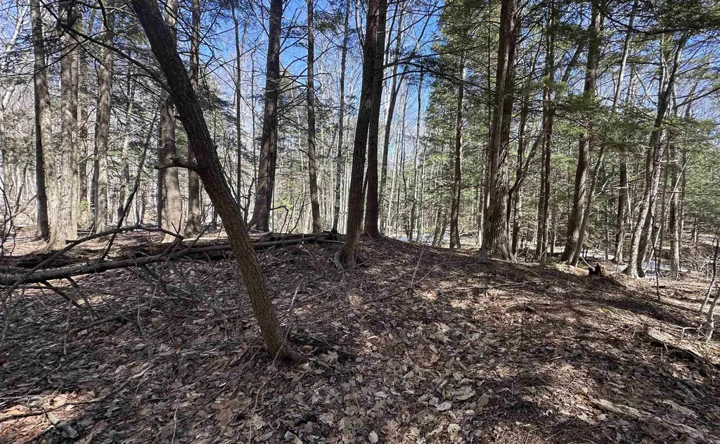 Valley Road Washington NH 03280