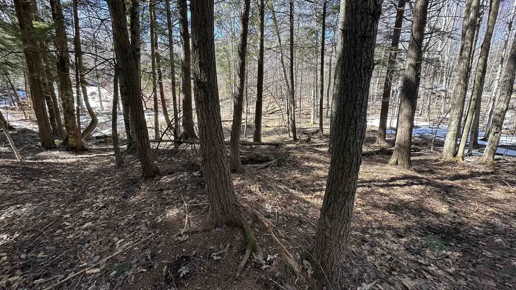 Valley Road Washington NH 03280