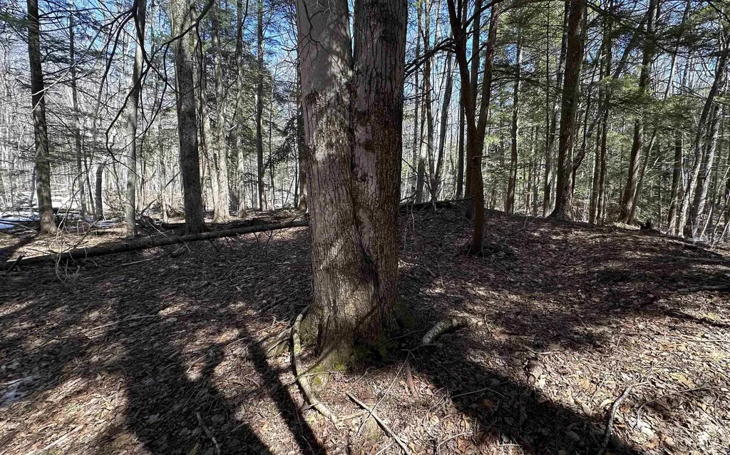 Valley Road Washington NH 03280