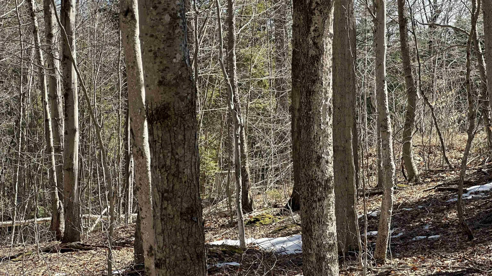 Valley Road Washington NH 03280