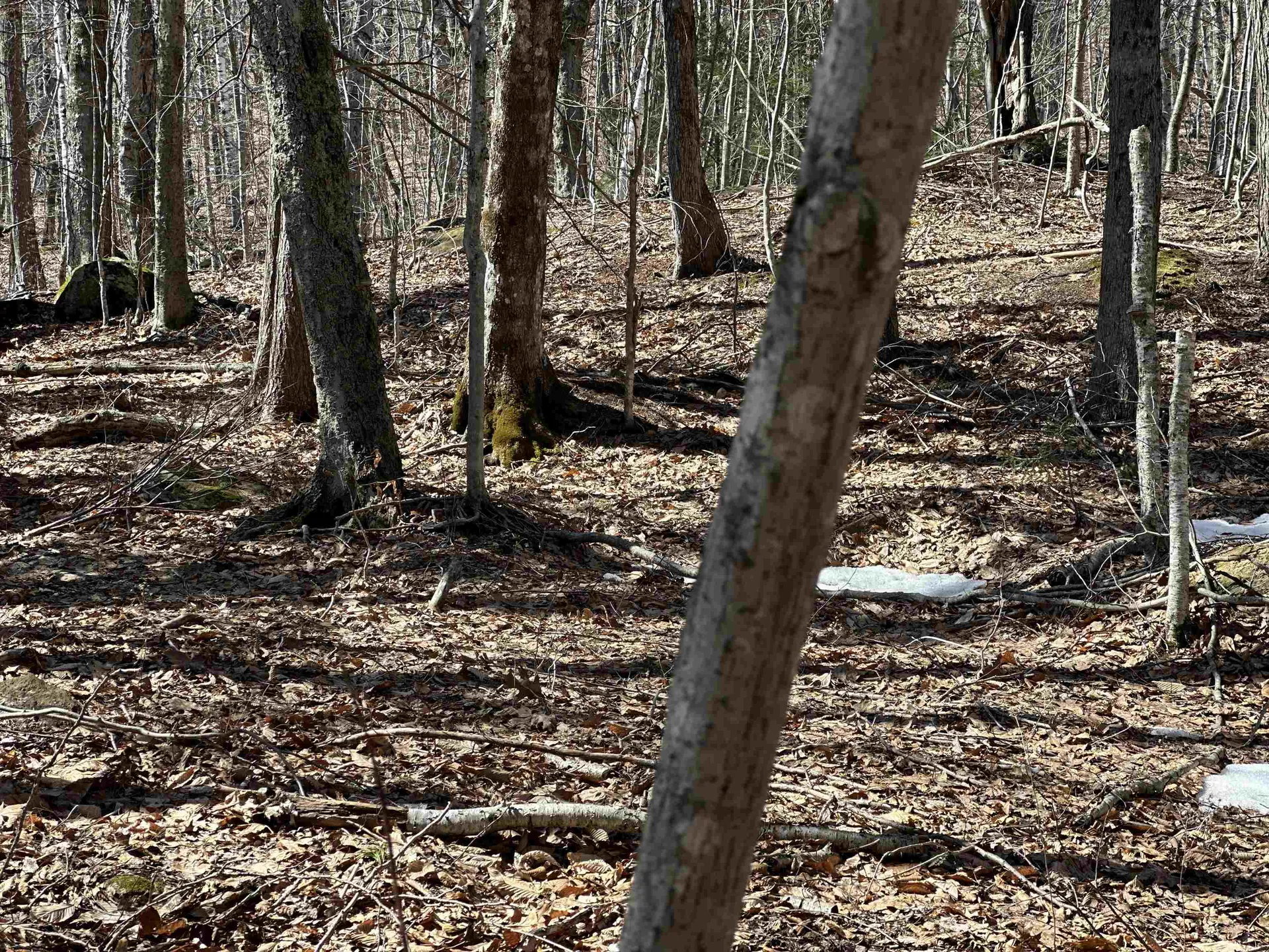 Valley Road Washington NH 03280