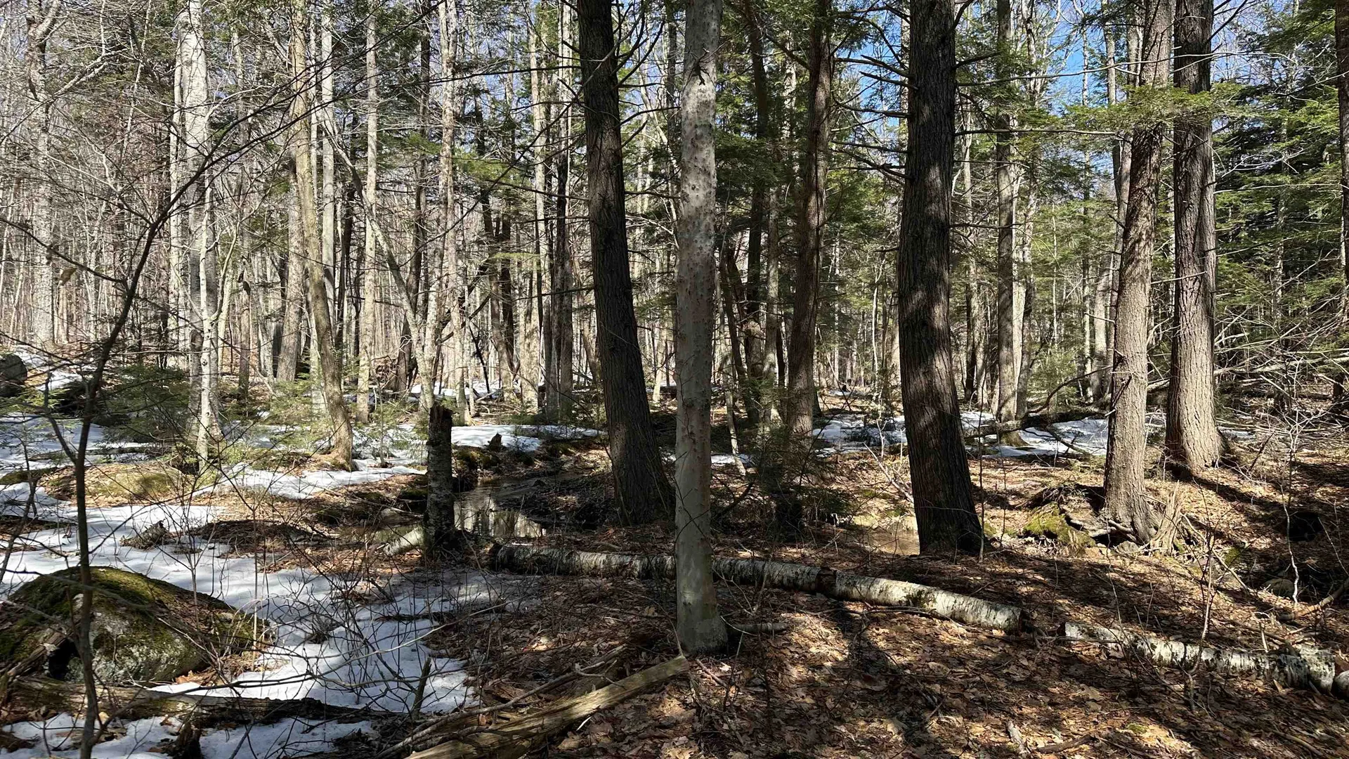 Valley Road Washington NH 03280