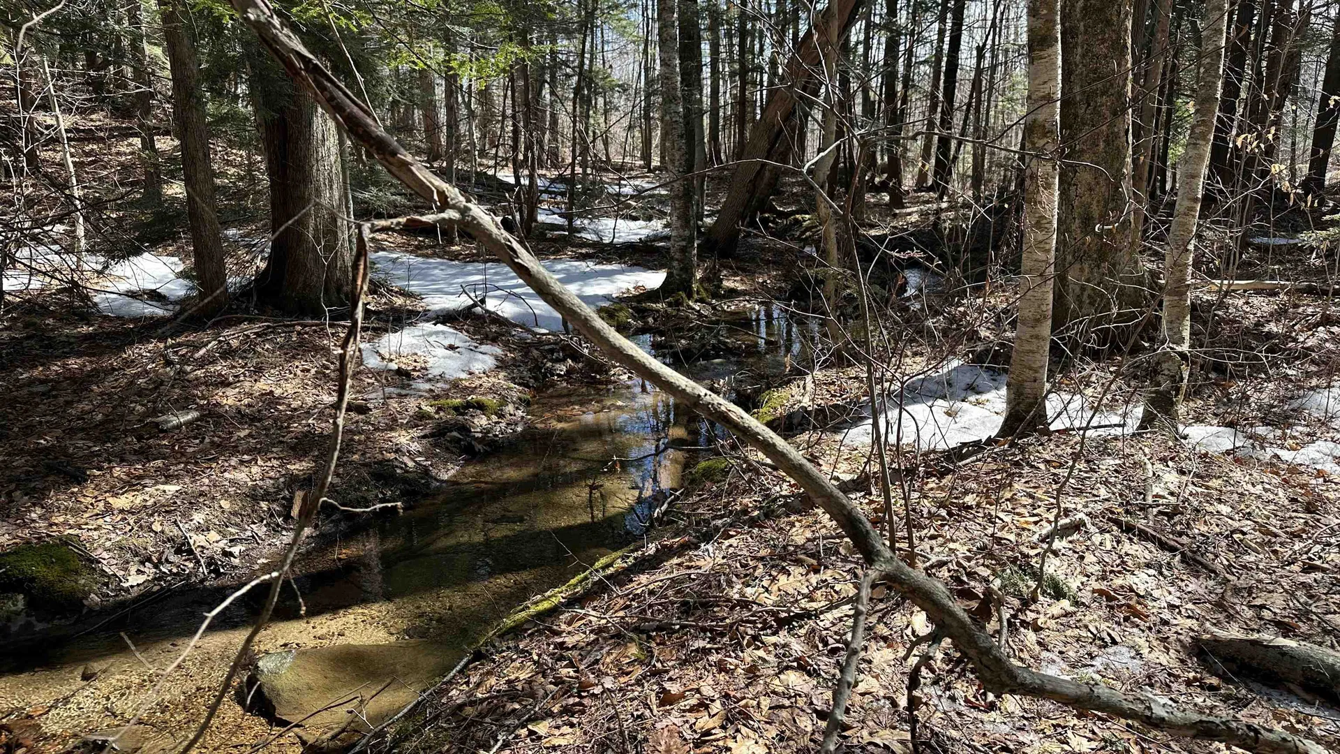 Valley Road Washington NH 03280