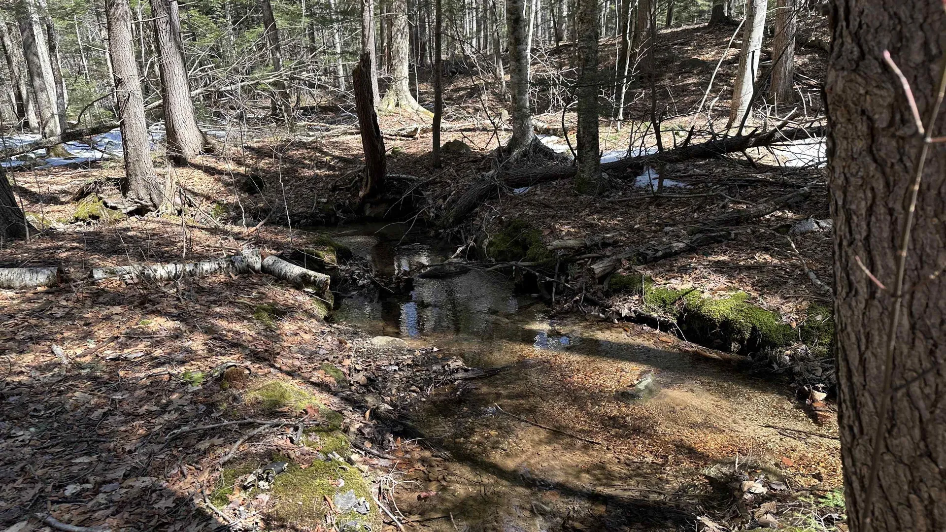 Valley Road Washington NH 03280