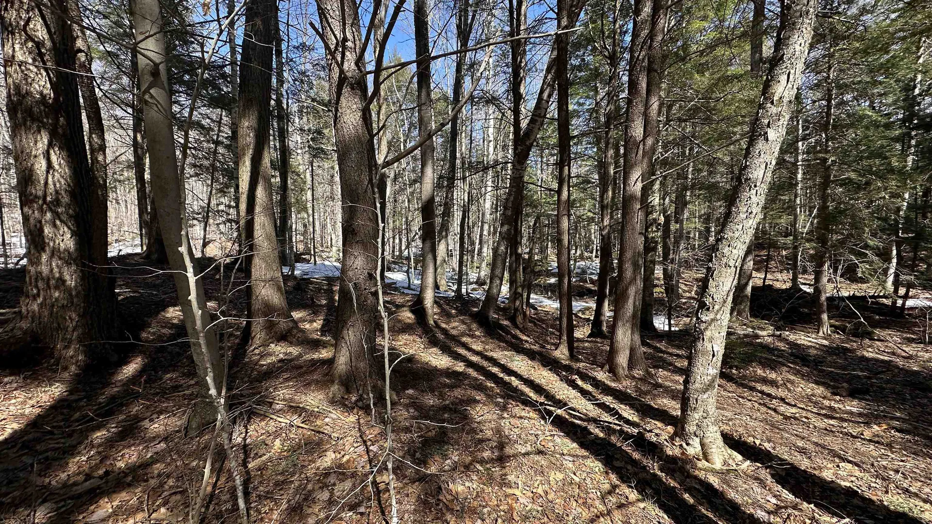 Valley Road Washington NH 03280